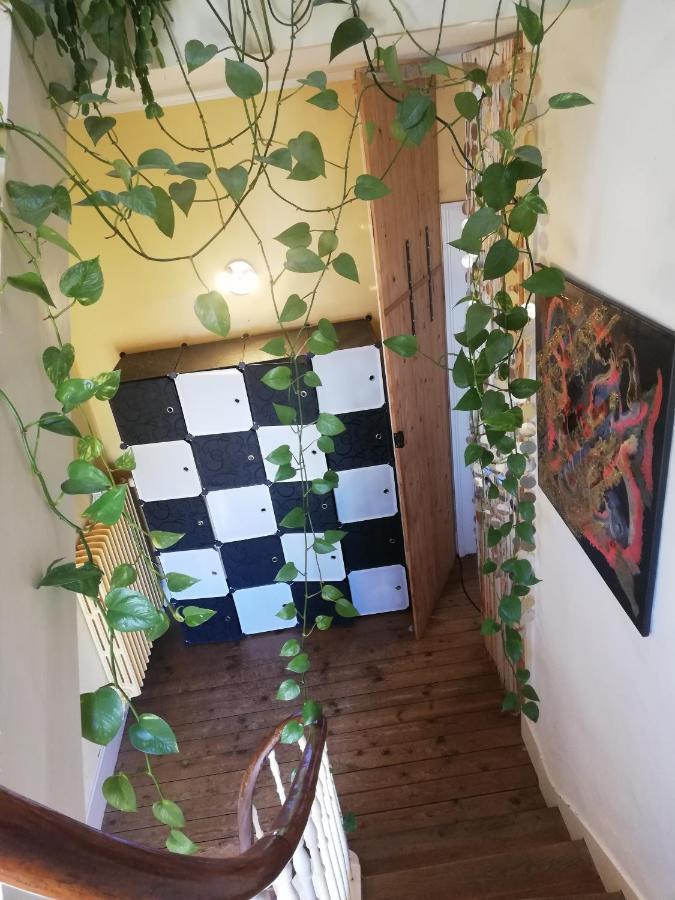 La Chambre D'Hote De Christelle Apartment Cherbourg-en-Cotentin Ngoại thất bức ảnh